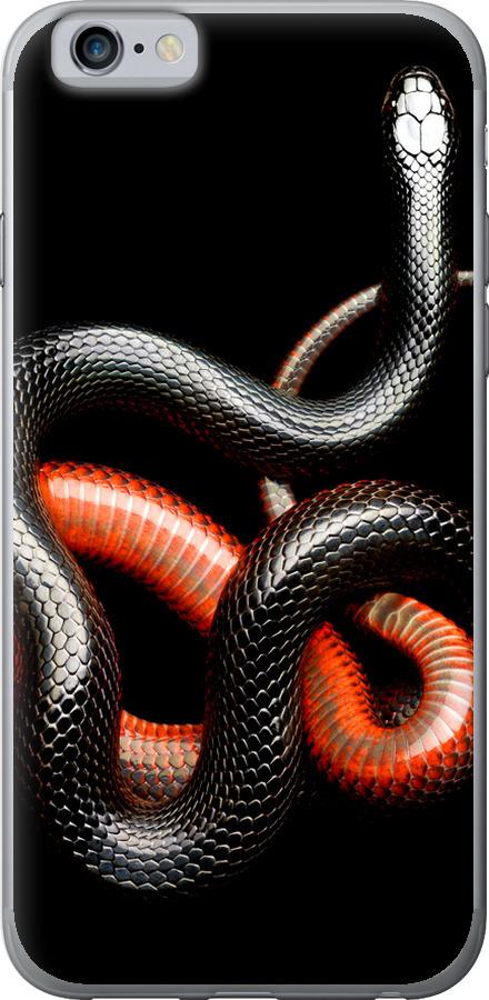 Чехол на iPhone 6s Красно-черная змея на черном фоне