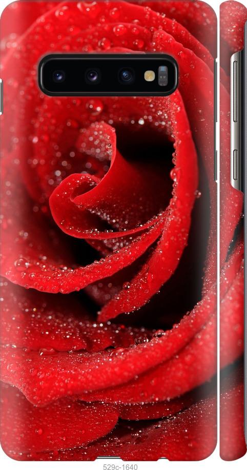 Чехол на Samsung Galaxy S10 Красная роза