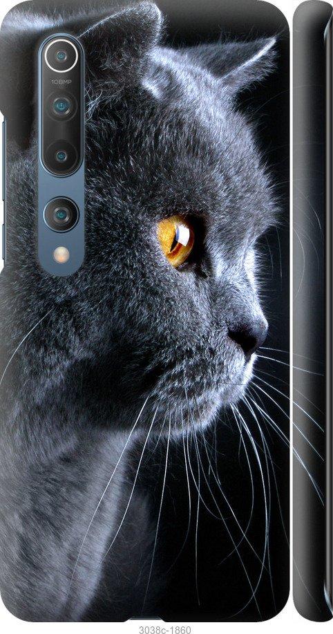 Чехол на Xiaomi Mi 10 Красивый кот
