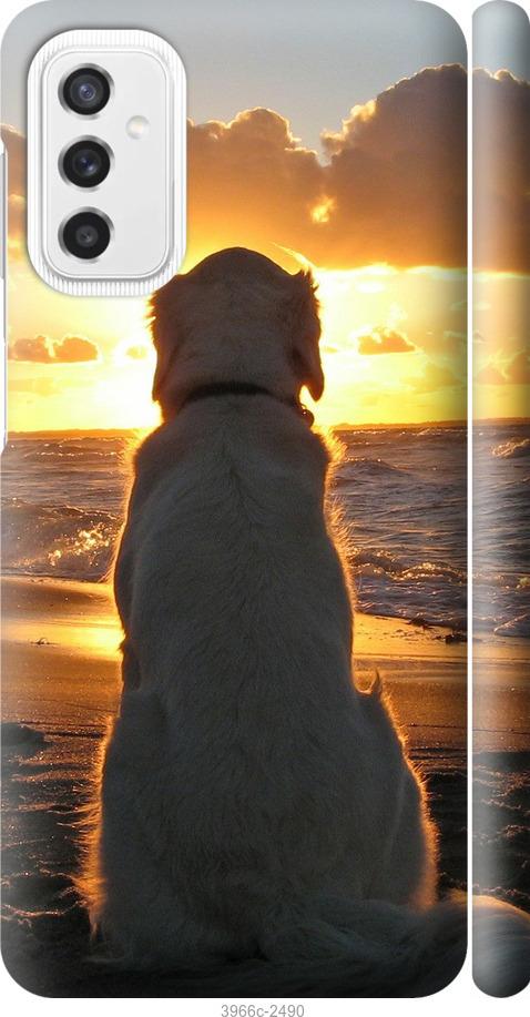 Чехол на Samsung Galaxy M52 M526B Закат и собака
