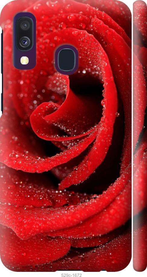 Чехол на Samsung Galaxy A40 2019 A405F Красная роза
