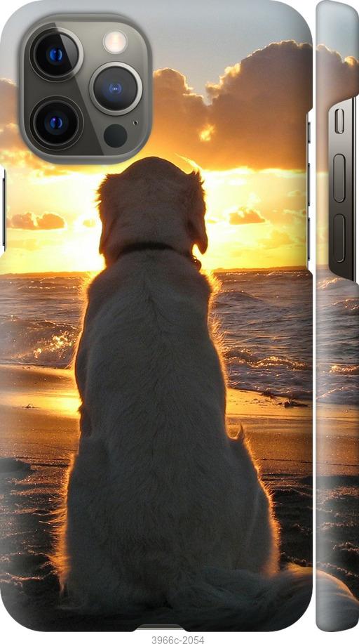 Чехол на iPhone 12 Pro Max Закат и собака