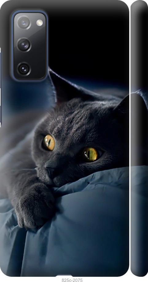 Чехол на Samsung Galaxy S20 FE G780F Дымчатый кот