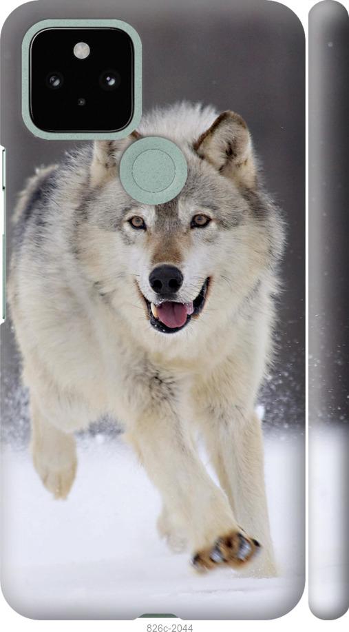Чехол на Google Pixel 5 Бегущий волк