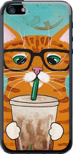 Чехол на iPhone SE Зеленоглазый кот в очках
