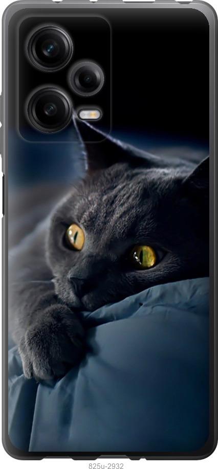 Чехол на Xiaomi Redmi Note 12 Pro 5G Дымчатый кот