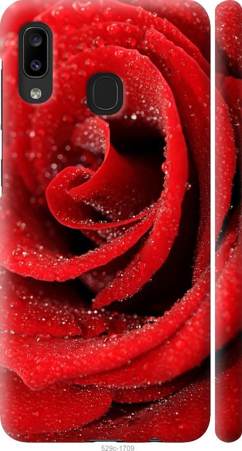 Чехол на Samsung Galaxy A20e A202F Красная роза