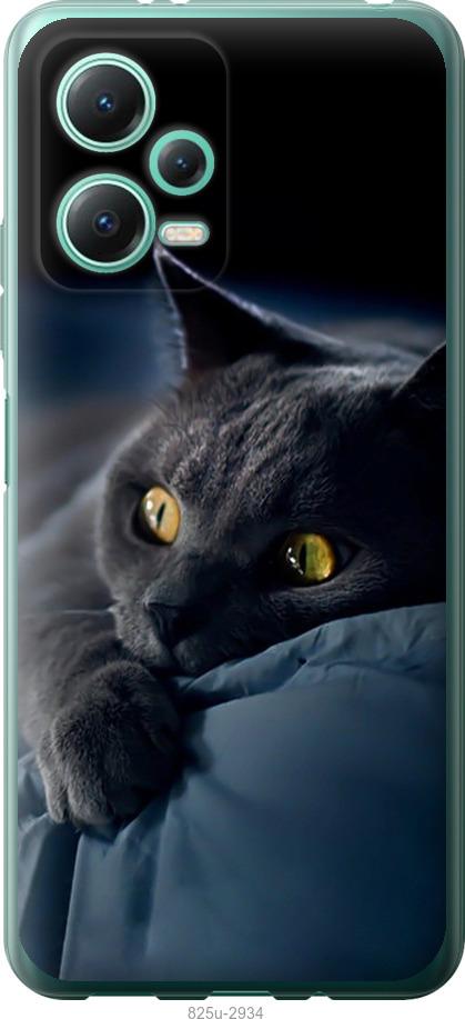 Чехол на Xiaomi Redmi Note 12 5G Дымчатый кот