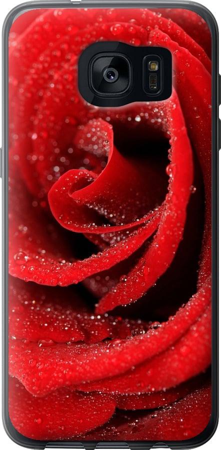 Чехол на Samsung Galaxy S7 Edge G935F Красная роза