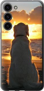 Чехол на Samsung Galaxy S23 Plus Закат и собака