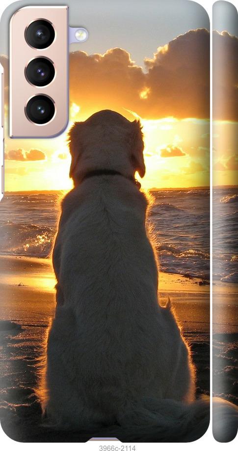 Чехол на Samsung Galaxy S21 Закат и собака