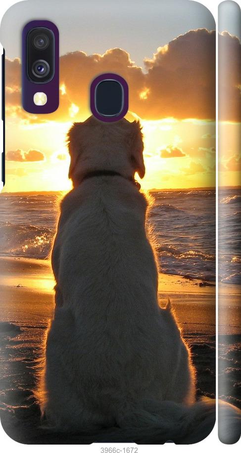 Чехол на Samsung Galaxy A40 2019 A405F Закат и собака