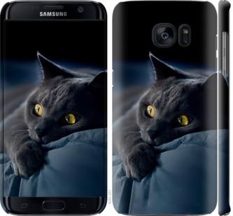 Чехол на Samsung Galaxy S7 Edge G935F Дымчатый кот