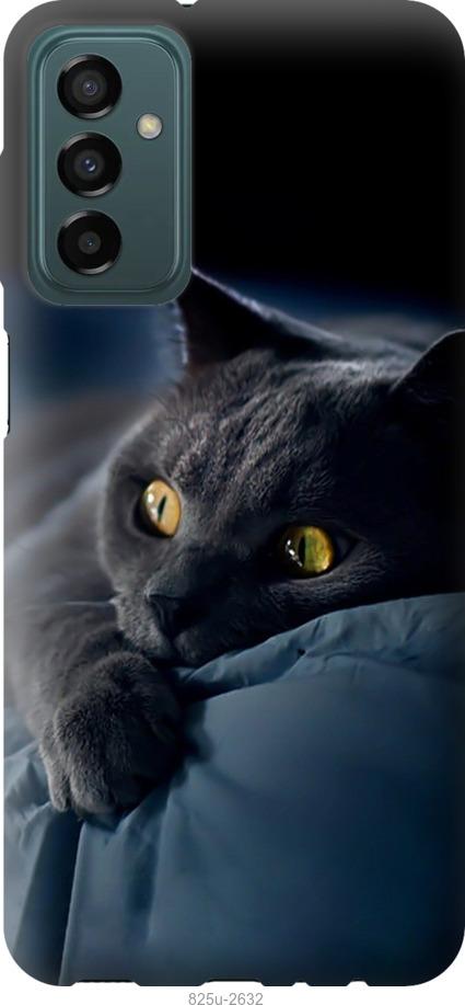 Чехол на Samsung Galaxy M23 M236B Дымчатый кот