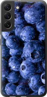 Чехол на Samsung Galaxy S22 Plus Голубика