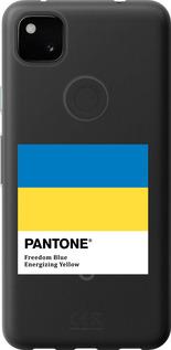Чехол на Google Pixel 4A Прапор Пантон