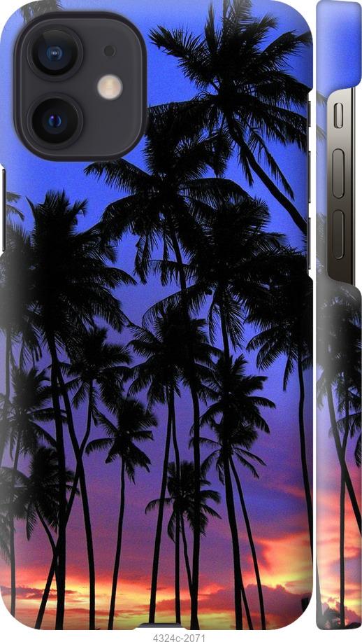 Чехол на iPhone 12 Mini Пальмы