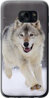 Чехол на Samsung Galaxy S7 G930F Бегущий волк