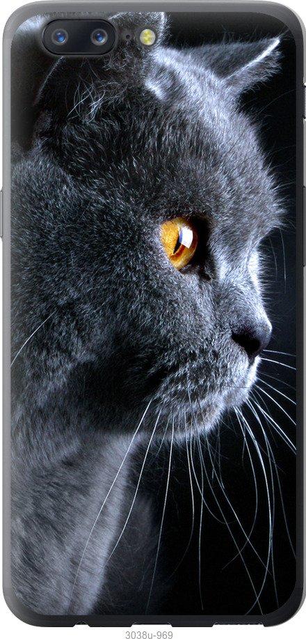 Чехол на OnePlus 5 Красивый кот