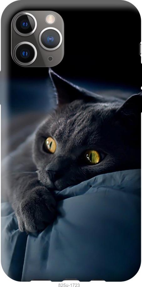 Чехол на iPhone 12 Pro Max Дымчатый кот