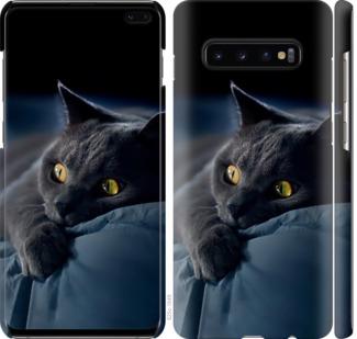 Чехол на Samsung Galaxy S10 Plus Дымчатый кот