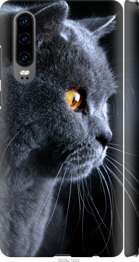 Чехол на Huawei P30 Красивый кот