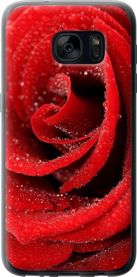 Чехол на Samsung Galaxy S7 G930F Красная роза
