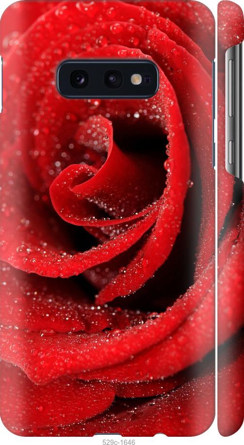 Чехол на Samsung Galaxy S10e Красная роза