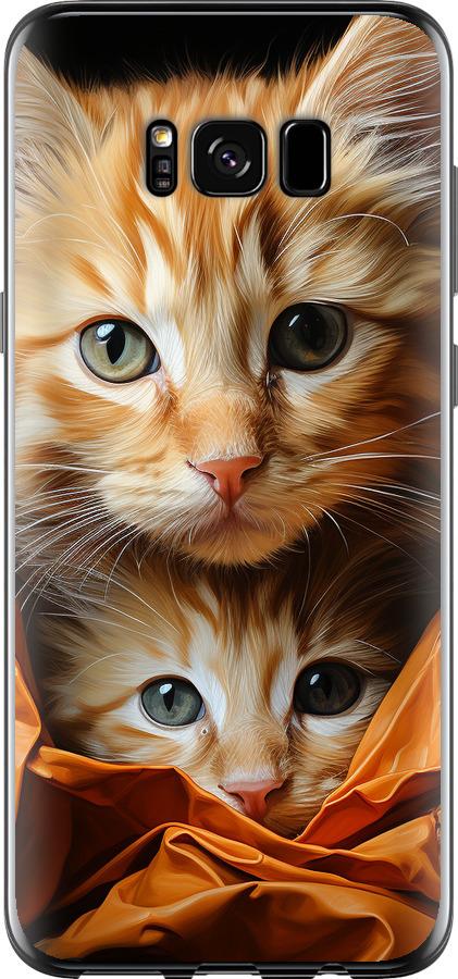 Чехол на Samsung Galaxy S8 Котики 2