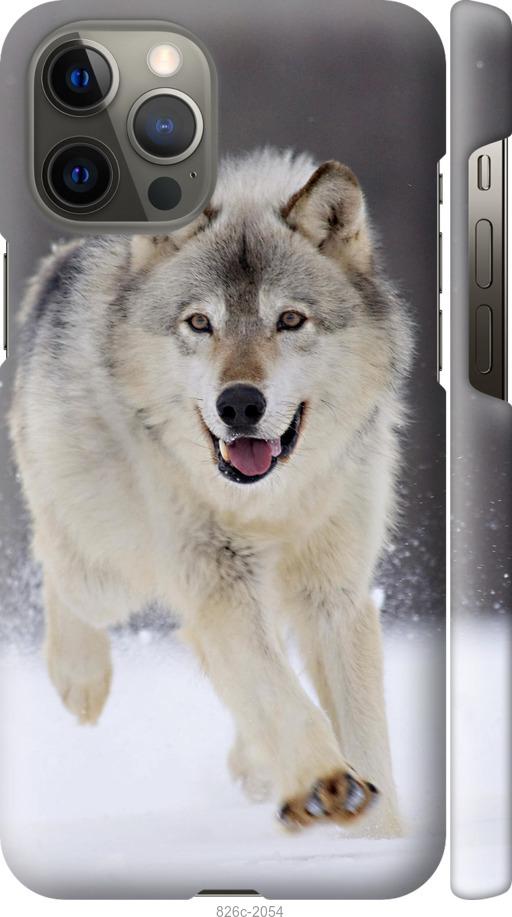 Чехол на iPhone 12 Pro Max Бегущий волк