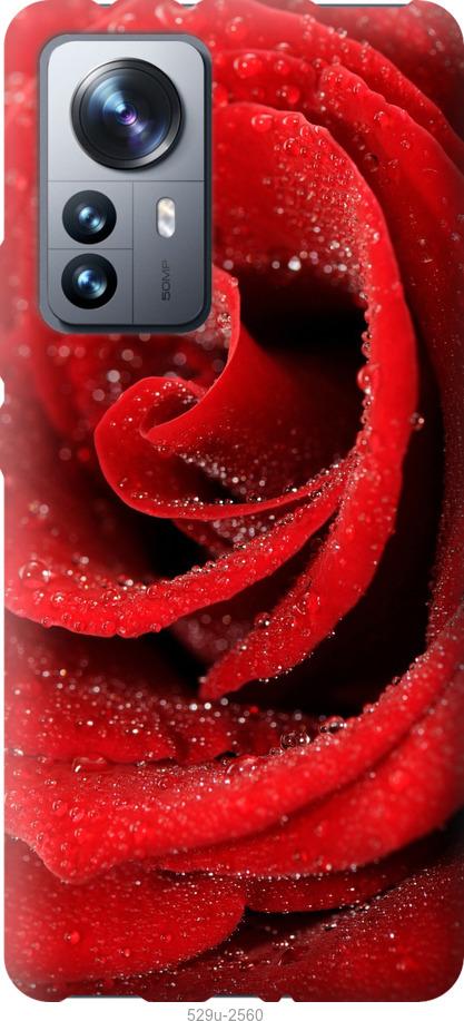 Чехол на Xiaomi 12 Pro Красная роза