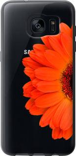 Чехол на Samsung Galaxy S7 Edge G935F Гербера 1