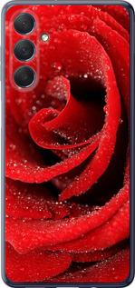 Чехол на Samsung Galaxy M54 Красная роза