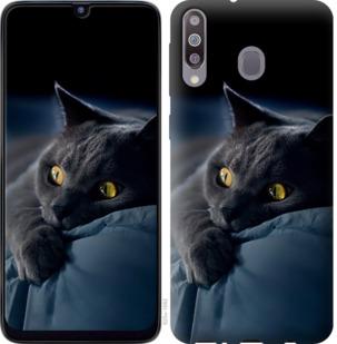 Чехол на Samsung Galaxy M30 Дымчатый кот