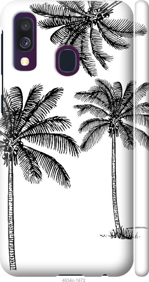 Чехол на Samsung Galaxy A40 2019 A405F Пальмы1