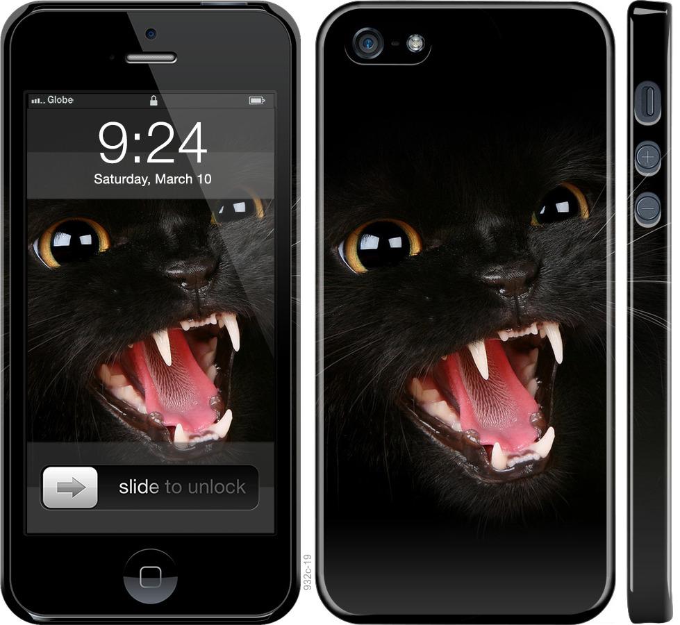 Чехол на iPhone SE Чёрная кошка