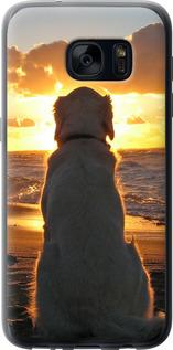 Чехол на Samsung Galaxy S7 G930F Закат и собака
