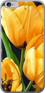 Чехол на iPhone 6s Желтые тюльпаны