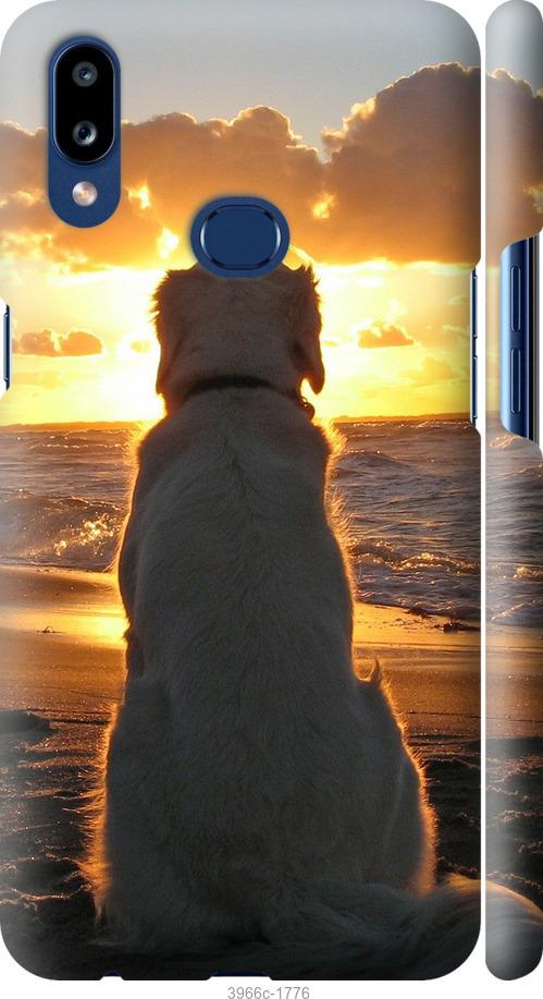 Чехол на Samsung Galaxy A10s A107F Закат и собака