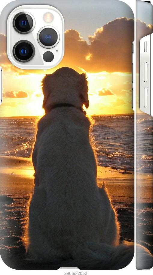 Чехол на iPhone 12 Pro Закат и собака