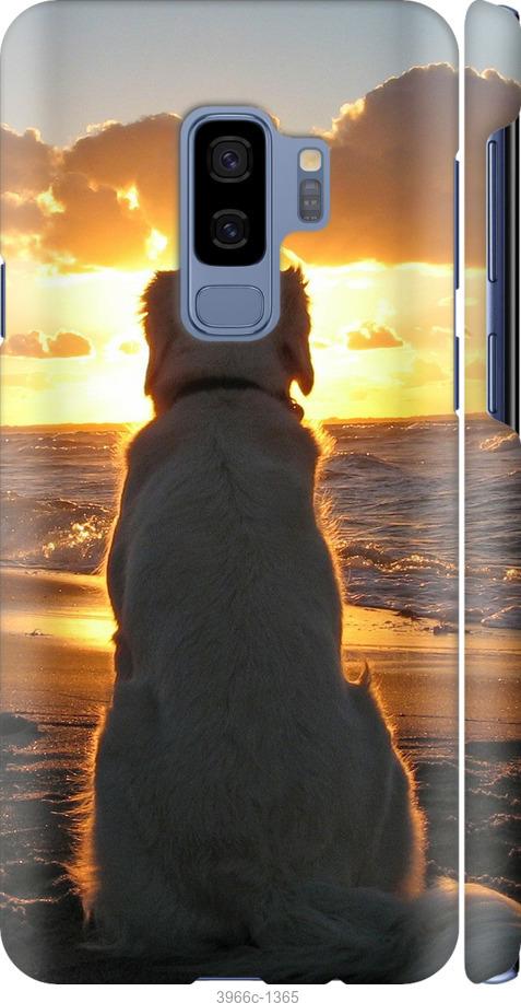Чехол на Samsung Galaxy S9 Plus Закат и собака