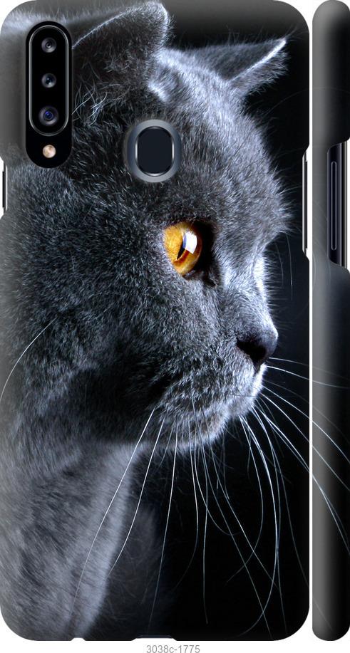 Чехол на Samsung Galaxy A20s A207F Красивый кот