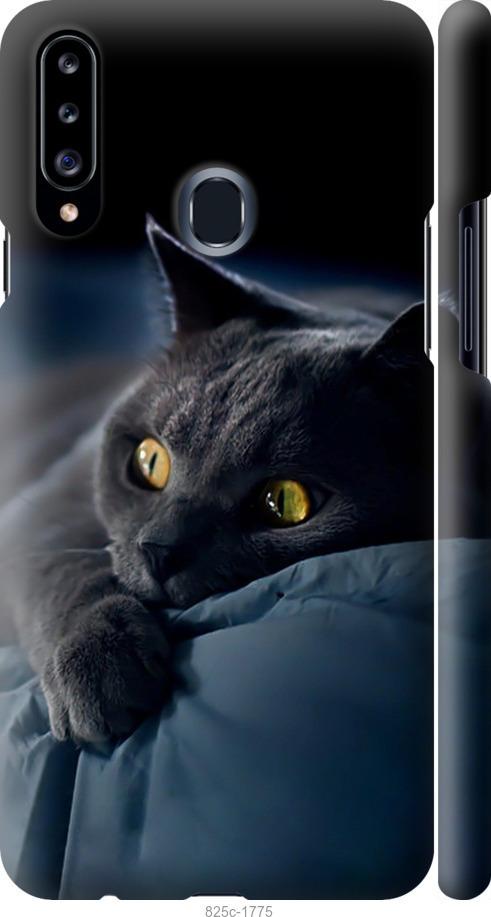 Чехол на Samsung Galaxy A20s A207F Дымчатый кот
