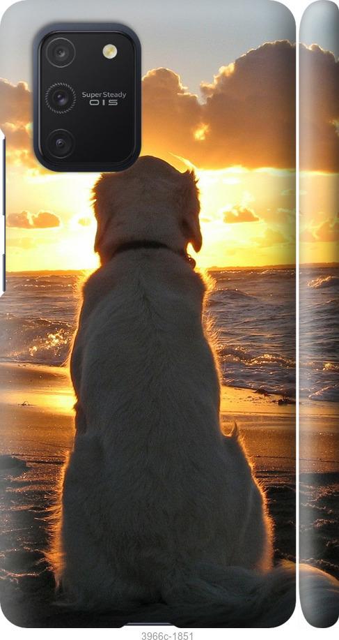 Чехол на Samsung Galaxy S10 Lite 2020 Закат и собака