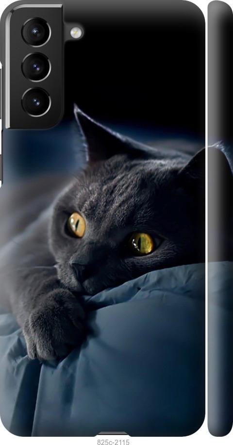 Чехол на Samsung Galaxy S21 Plus Дымчатый кот