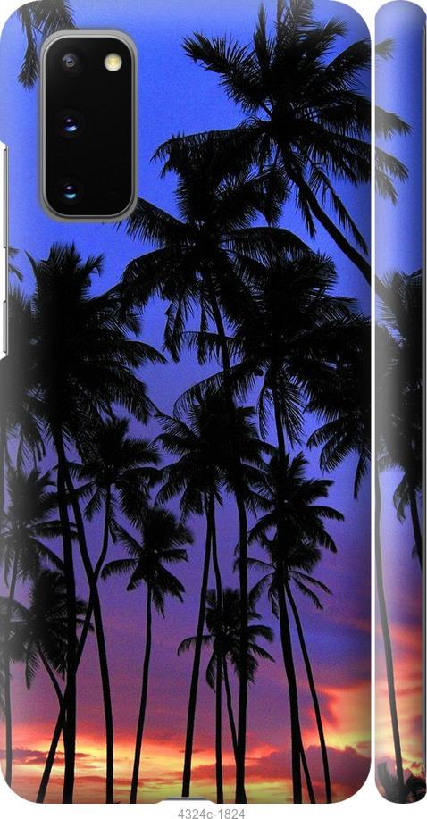 Чехол на Samsung Galaxy S20 Пальмы