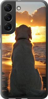 Чехол на Samsung Galaxy S22 Закат и собака