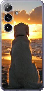 Чехол на Samsung Galaxy S24 Plus Закат и собака