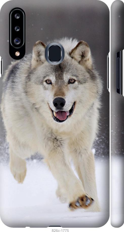 Чехол на Samsung Galaxy A20s A207F Бегущий волк