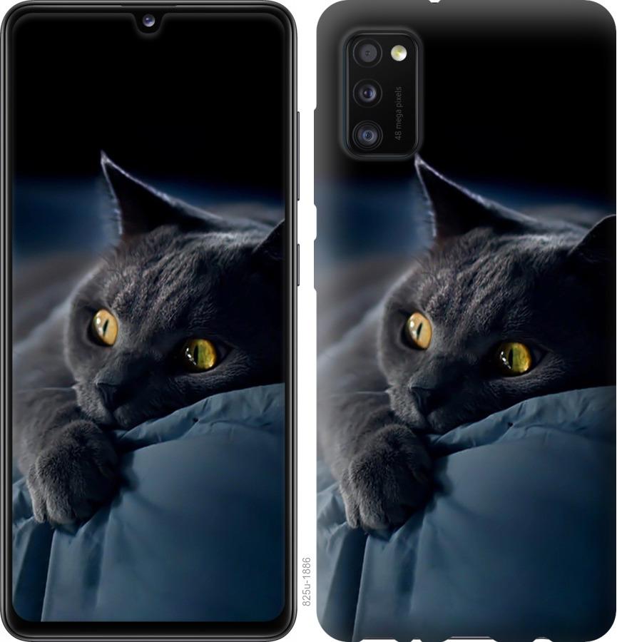 Чехол на Samsung Galaxy A41 A415F Дымчатый кот